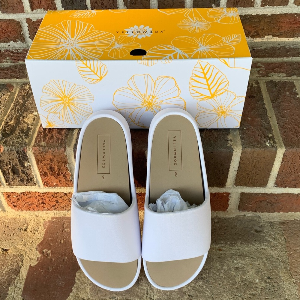 Yellow Box Torrey Slides